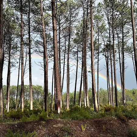 La Casita - Private Pool نازاريه